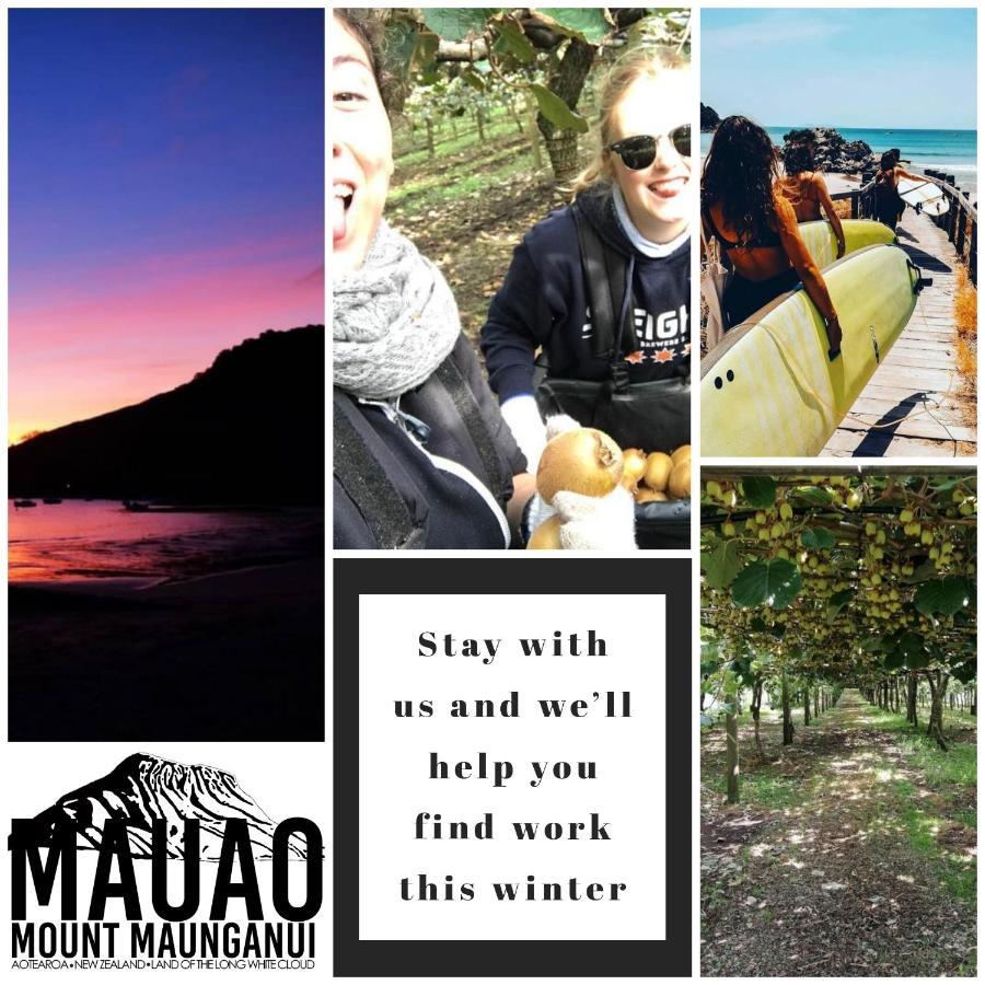 Mount Backpackers Vandrehjem Mount Maunganui Eksteriør billede